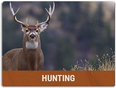 Hunting